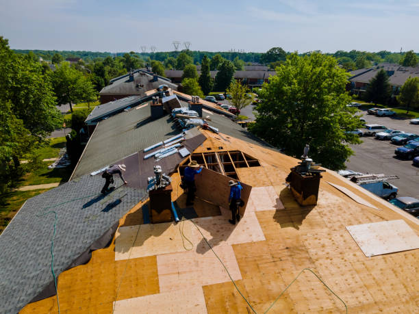 Best Storm Damage Roof Repair  in Allendale, CA