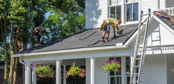 Best Roof Gutter Cleaning  in Allendale, CA